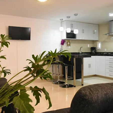 Departamento Alejandro - Completo Y Amplio Departamento En Una Zona Muy Tranquila De La Cdmx