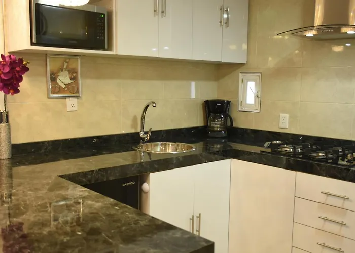 Departamento Alejandro - Completo Y Amplio Departamento En Zona Muy Tranquila De La Cdmx Apartamento *