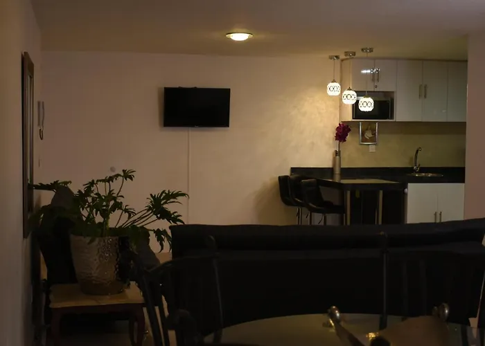 Departamento Alejandro - Completo Y Amplio Departamento En Zona Muy Tranquila De La Cdmx Apartamento *